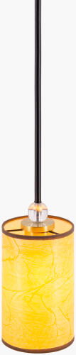 AUI-001