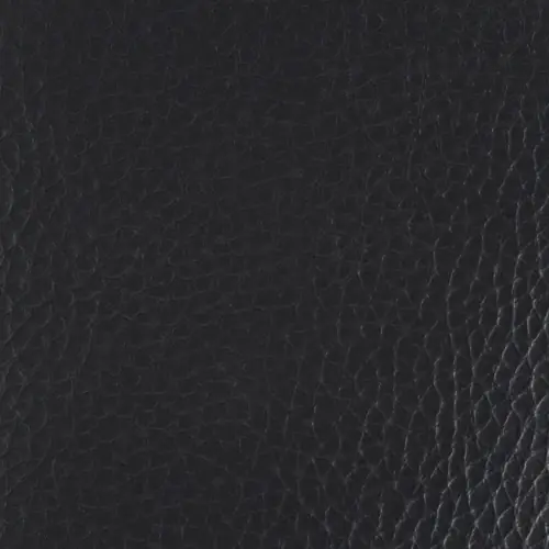 BGS-002