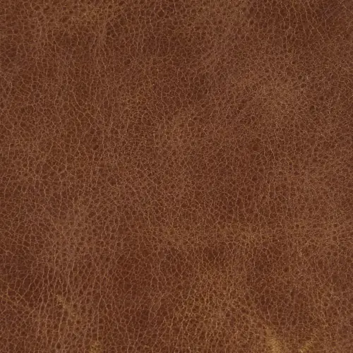 BOGV-002