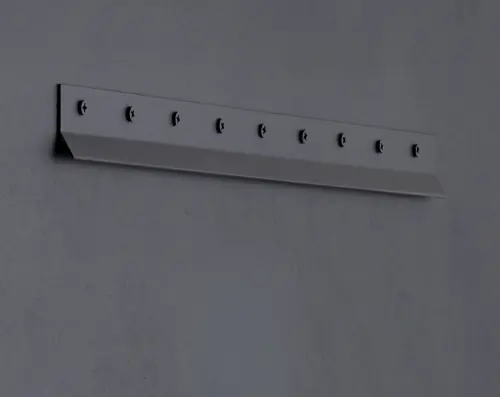 CAMR-007