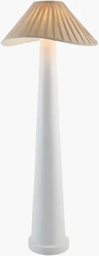 DCI-001