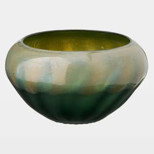 saguaro stargazer bowl