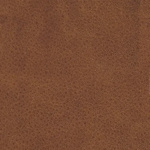 DYN-001
