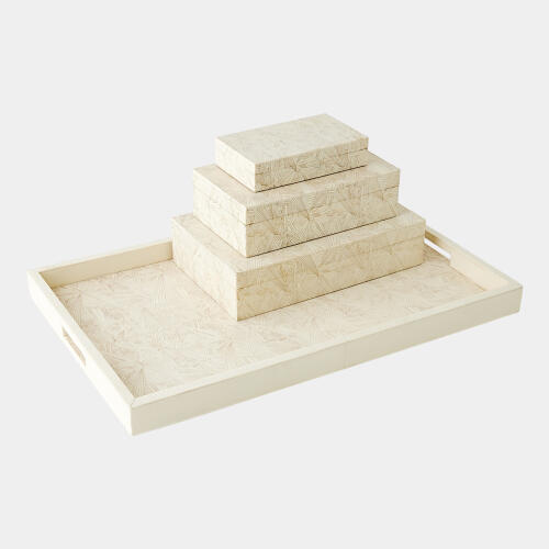 Searchlight Box-Ivory