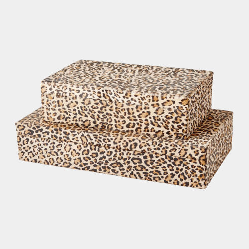 Pelo Box-Cheetah