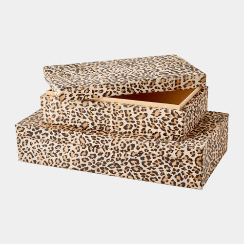 Pelo Box-Cheetah