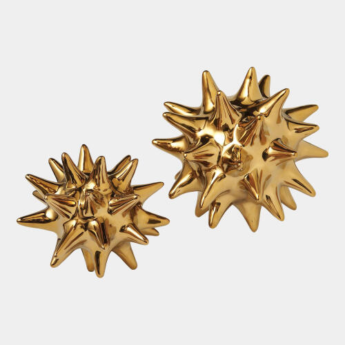 Urchin-Bright Gold