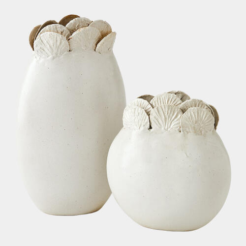 Sand Dollar Vase-White