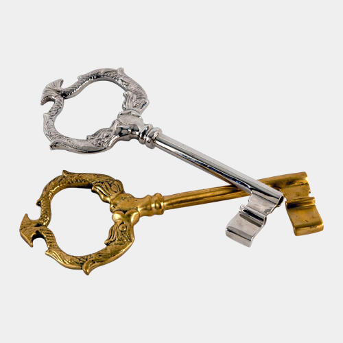 Double Dolphin Key-Nickel