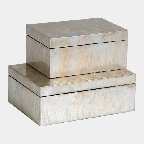 Champagne Silver Leaf Box