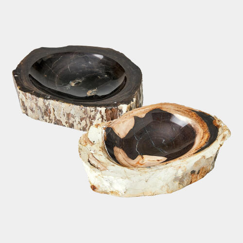 Petrified Wooden Bowl-Black/Brown