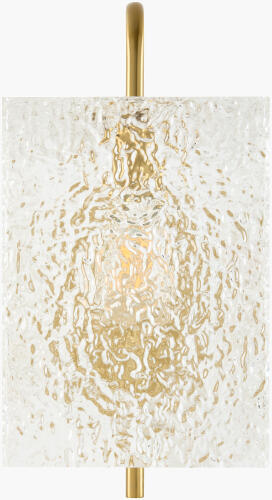 ICLY-009