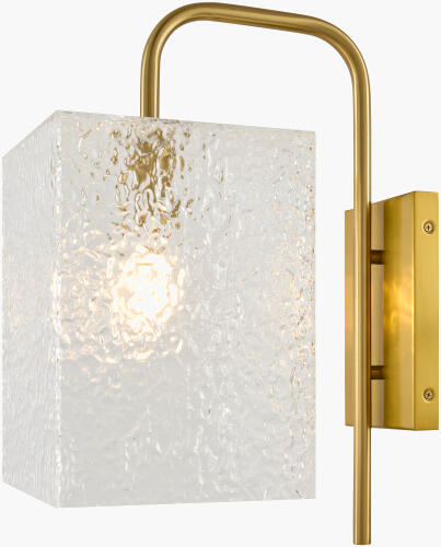 ICLY-009