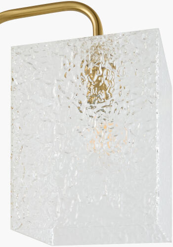 ICLY-009
