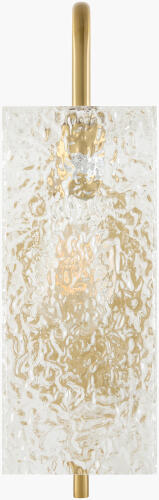 ICLY-010