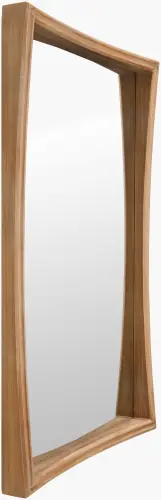 NEVE-002
