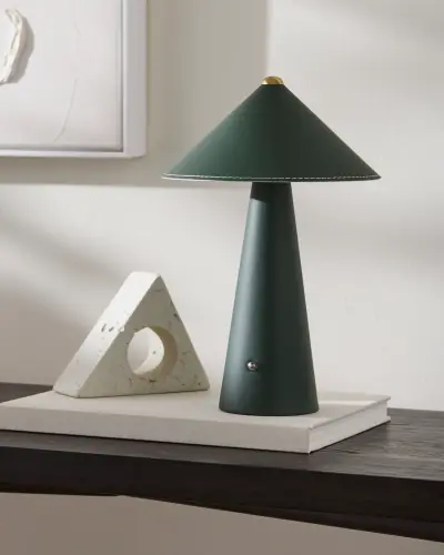 NMLE-009