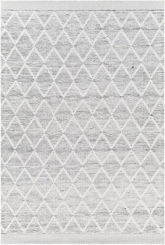 NPO-2316