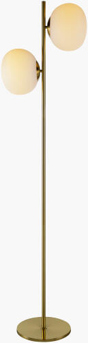 NSI-001