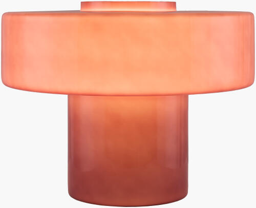 NZY-009