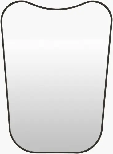 olo-006