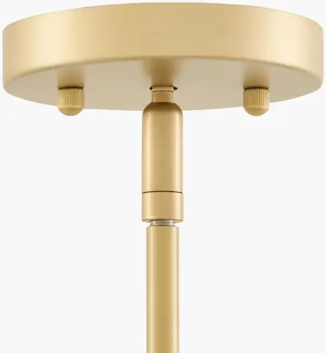 RVG-001
