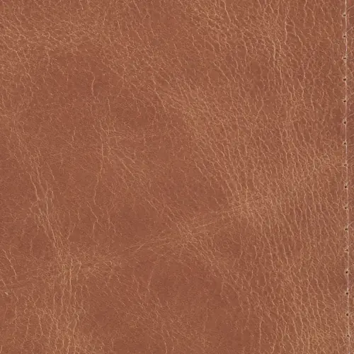 RYAN-001