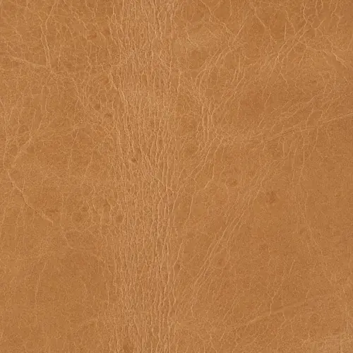 TRE-001