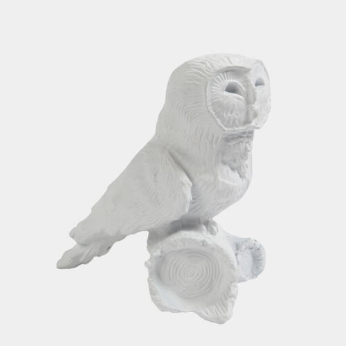 Owl On Branch-Matte White