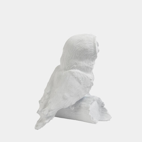 Owl On Branch-Matte White