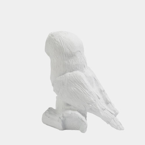 Owl On Branch-Matte White