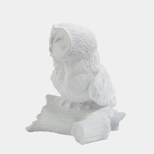 Owl On Branch-Matte White