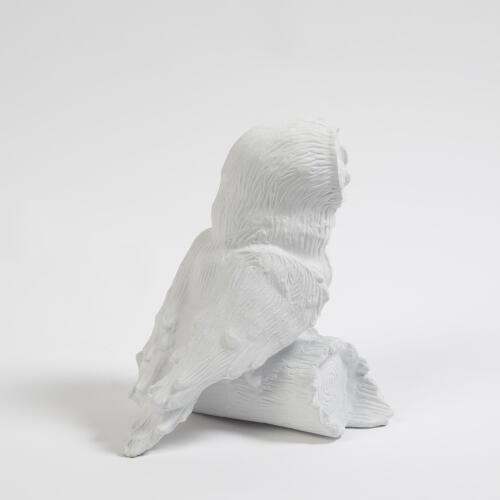 Owl On Branch-Matte White