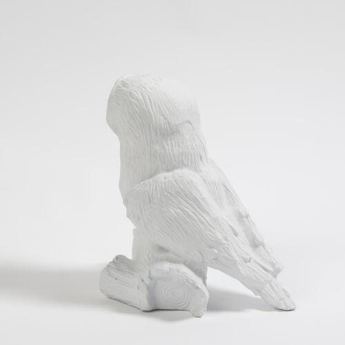Owl On Branch-Matte White