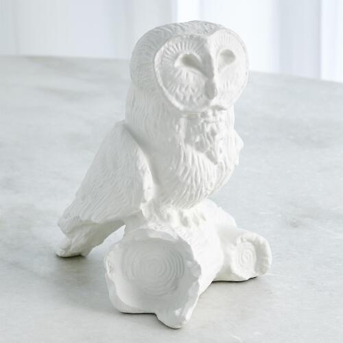 Owl On Branch-Matte White