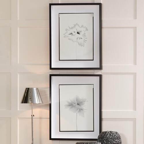 Len Prince Photography-Poppy Series 4 of 6