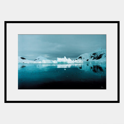 len prince photography-artic series 4 of 4